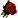 :EM_RedRose: Chat Preview