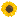 :Selfloss_Sunflower: Chat Preview
