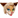 :kittyFurry: Chat Preview