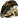 :lizardhead: Chat Preview