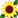 :sunflower: Chat Preview