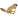 :usedbober: Chat Preview