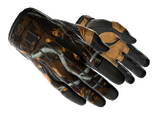 ★ Sport Gloves | Big Game