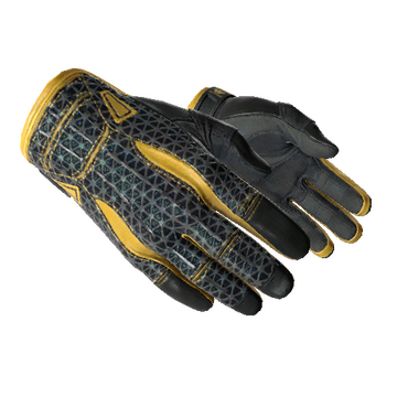 Sport Gloves | Omega image 360x360