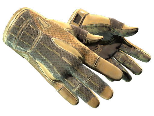 ★ Sport Gloves | Arid (Well-Worn)