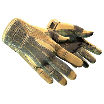 Sport Gloves | Arid image 360x360