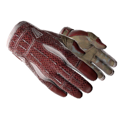 ★ Sport Gloves | Slingshot (Minimal Wear)