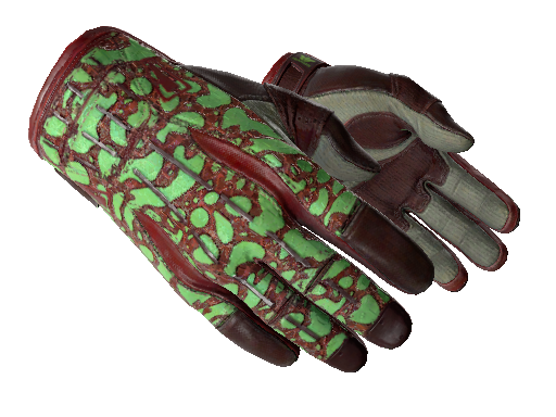 Image for the ★ Sport Gloves | Bronze Morph weapon skin in Counter Strike 2
