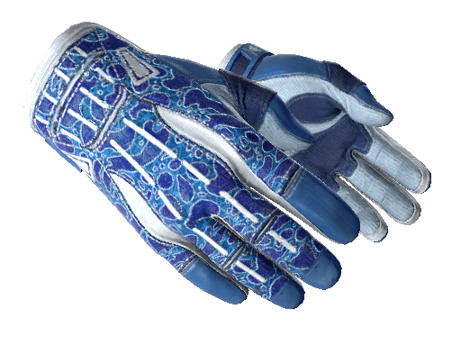 ★ Sport Gloves | Amphibious