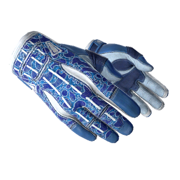 Sport Gloves | Amphibious image 360x360