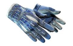 ★ Sport Gloves | Amphibious