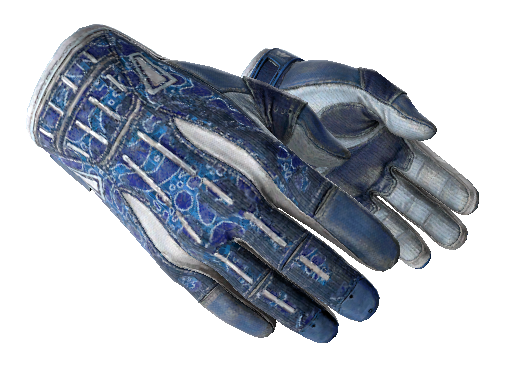 ★ Sport Gloves | Amphibious (Battle-Scarred)