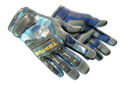 ★ Specialist Gloves | Mogul