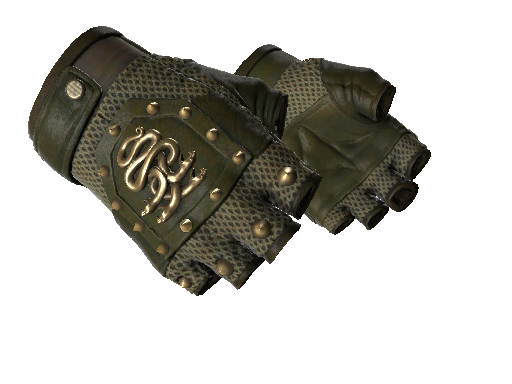 Image for the ★ Hydra Gloves | Mangrove weapon skin in Counter Strike 2