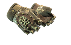 ★ Hydra Gloves | Rattler