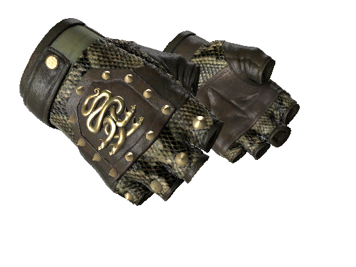 Image for the ★ Hydra Gloves | Rattler weapon skin in Counter Strike 2