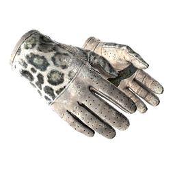 ★ Driver Gloves | Snow Leopard (Battle-Scarred)