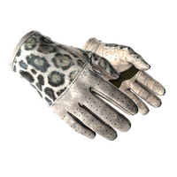 ★ Driver Gloves | Snow Leopard (Field-Tested) icon