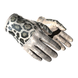 ★ Driver Gloves | Snow Leopard (Minimal Wear)