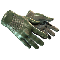 Driver Gloves Racing Green