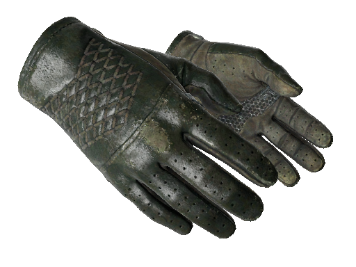 ★ Driver Gloves | Racing Green (Field-Tested)