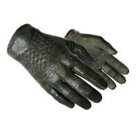 Driver Gloves Racing Green Well Worn CS GO ItemAnalyst
