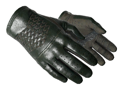 Image for the ★ Driver Gloves | Racing Green weapon skin in Counter Strike 2
