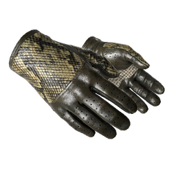 ★ Driver Gloves | Diamondback (Well-Worn)