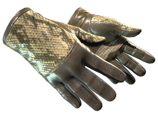 ★ Driver Gloves | Diamondback (Minimal Wear)