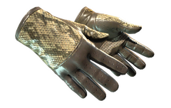 ★ Driver Gloves | Diamondback