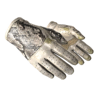 ★ Driver Gloves | King Snake (Field-Tested) icon