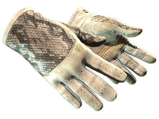 ★ Driver Gloves | King Snake