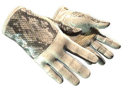 ★ Driver Gloves | King Snake