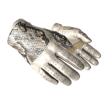 Driver Gloves | King Snake image 360x360