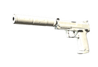 USP-S | Whiteout