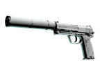 USP-S | Whiteout