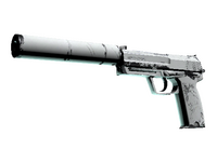 USP-S | Whiteout