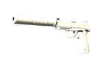 USP-S | Whiteout