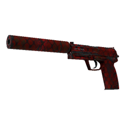 Souvenir USP-S | Check Engine (Well-Worn)