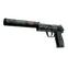 USP-S | Ancient Visions (Field-Tested)
