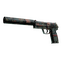 USP-S | Ancient Visions (Factory New)