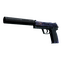 USP-S | Black Lotus (Battle-Scarred)