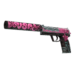 USP-S | Cortex (Well-Worn)