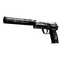 USP-S | Ticket to Hell (Well-Worn)