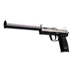 StatTrak™ USP-S | Printstream (Minimal Wear)