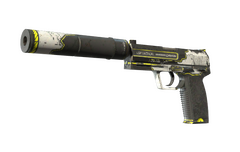 USP-S | Torque
