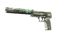 USP-S | Road Rash