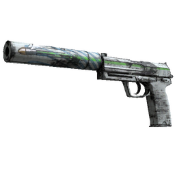 Souvenir USP-S | Road Rash (Well-Worn)