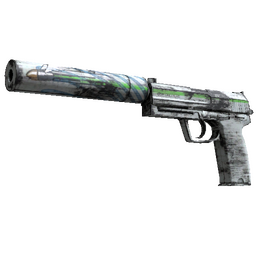 Souvenir USP-S | Road Rash (Minimal Wear)