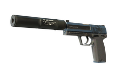 USP-S | Guardian